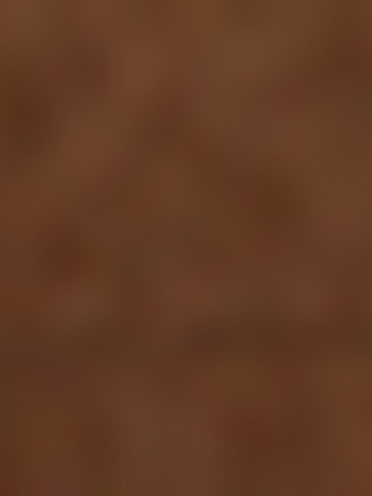 Elspeth Shoulder Bag, Chocolate, hi-res