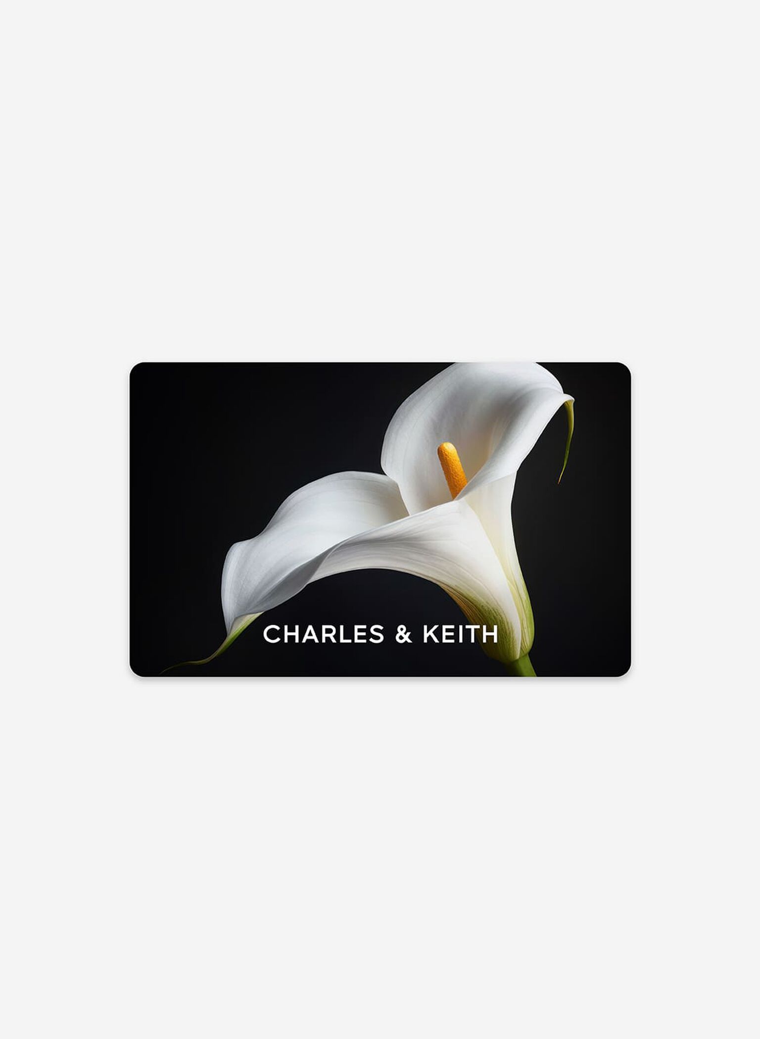 Gift Card - True Calla Lily, Black Boxed, giftratio3_4