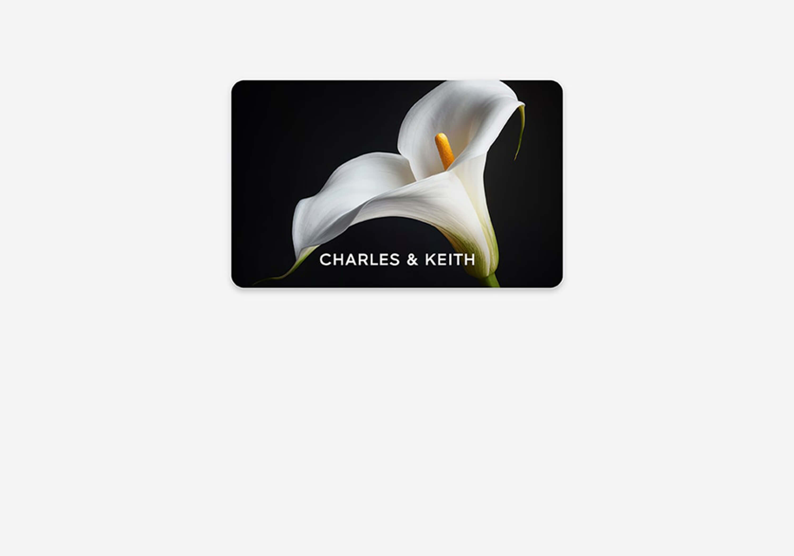 CREATE AN ACCOUNT TO ENJOY EXCLUSIVE PERKS - CHARLES & KEITH