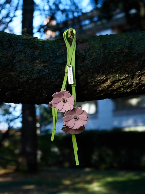 Women’s mint green Hazel bow small wallet - CHARLES & KEITH